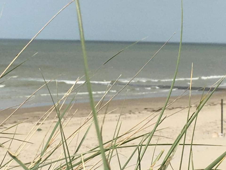 Luxe Vakantiechalet Met Omheinde Tuin Bredene 6Pers Dış mekan fotoğraf